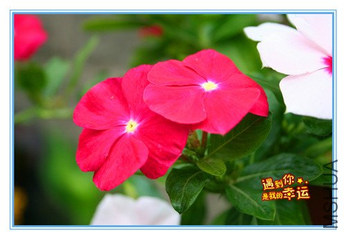 ��Ƭ 034_����.jpg