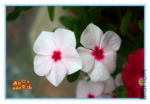 ��Ƭ 036_����.jpg