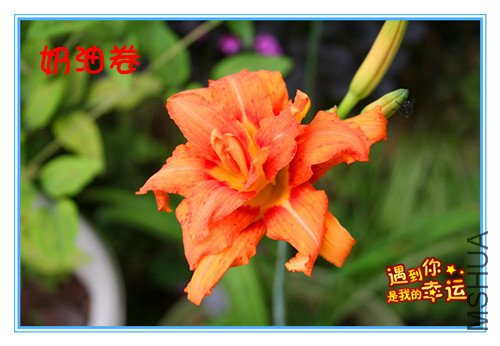 ��Ƭ 022_����_����.jpg