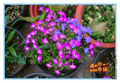 ��Ƭ 162_������.jpg