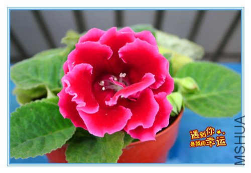 ��Ƭ 012_����.jpg