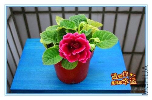 ��Ƭ 001_����.jpg