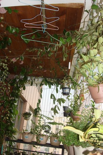 DSC05986_������С.jpg