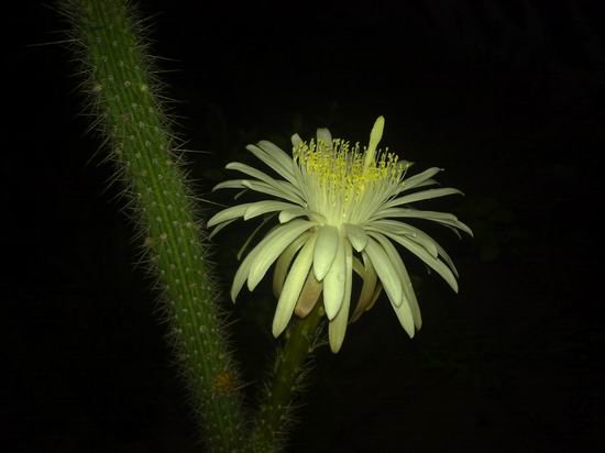 ������С 201206252745.jpg