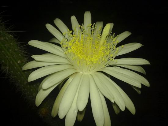 ������С 201206252746.jpg