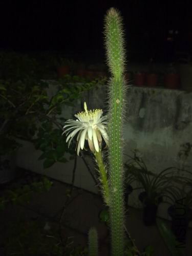 ������С ��ת 201206252764.jpg