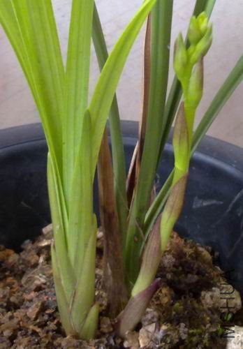 ������С 1.jpg