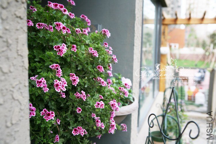 IMG_3251 ����.jpg