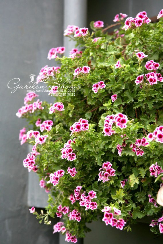 IMG_3233 ����.jpg