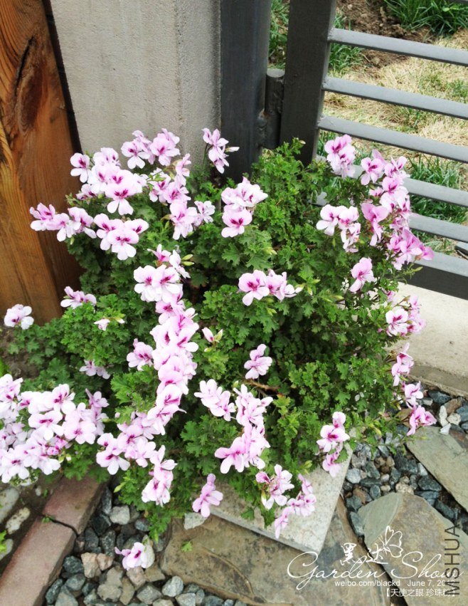 ��Ƭ 3 ����.jpg