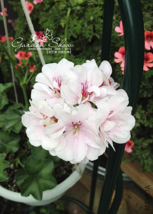 ��Ƭ 2 ����.jpg