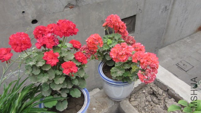 ��Ƭ 074.jpg