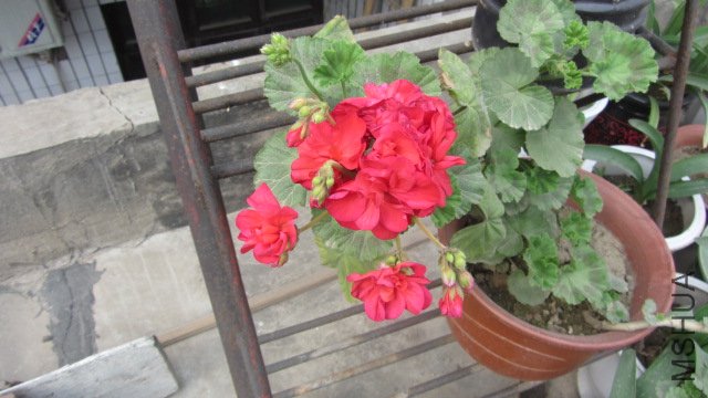 ��Ƭ 006.jpg