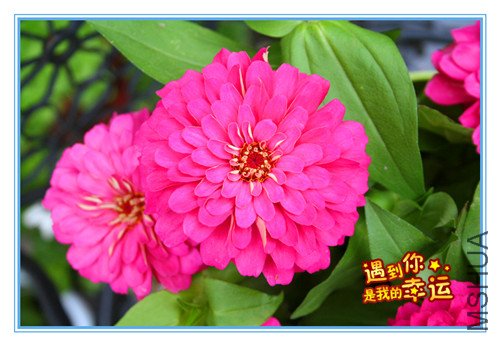 ��Ƭ 054_����4.jpg