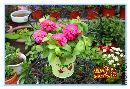 ��Ƭ 052_����3.jpg