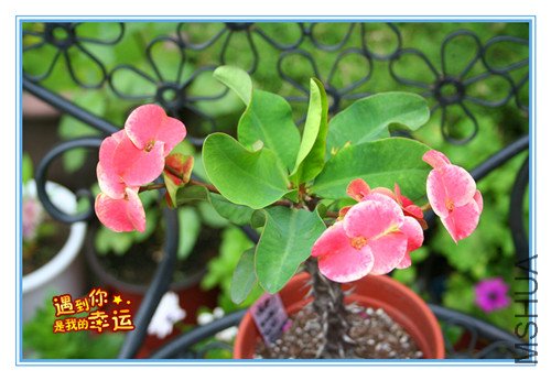 ��Ƭ 082_����3.jpg