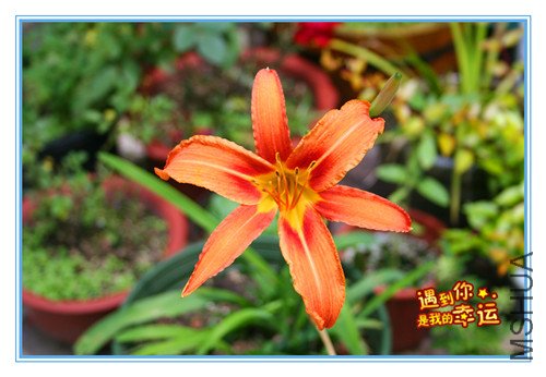 ��Ƭ 043_������2.jpg