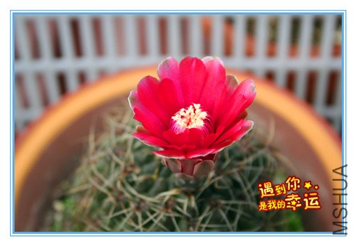 ��Ƭ 137_������.jpg