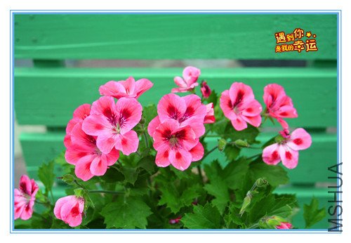 ��Ƭ 014_����2_����.jpg