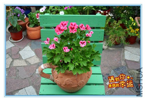 ��Ƭ 012_������1_����.jpg