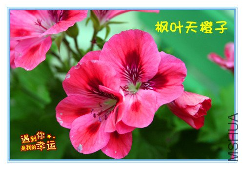 ��Ƭ 016_������3_����.jpg