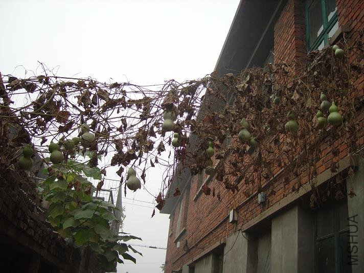 PICT1758.JPG