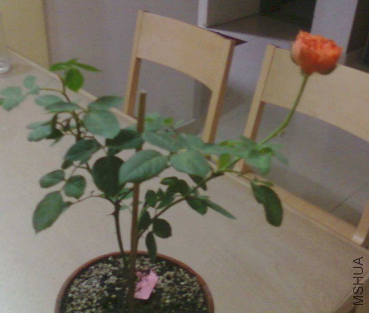 ��Ƭ-0574.jpg