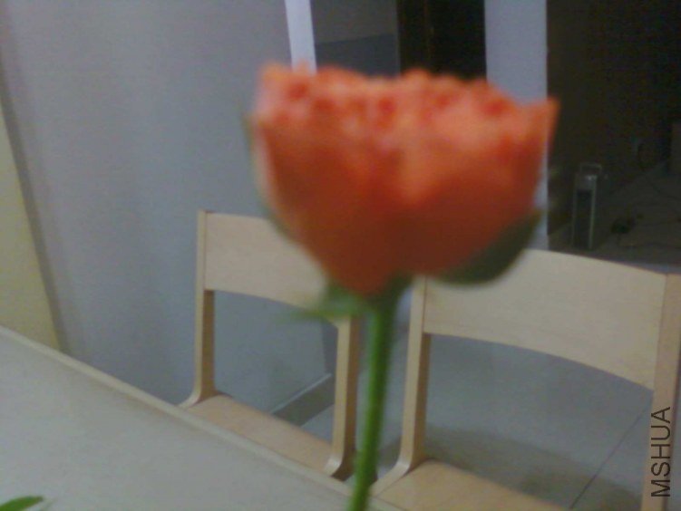 ��Ƭ-0575.jpg
