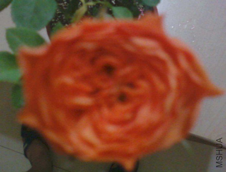 ��Ƭ-0577.jpg