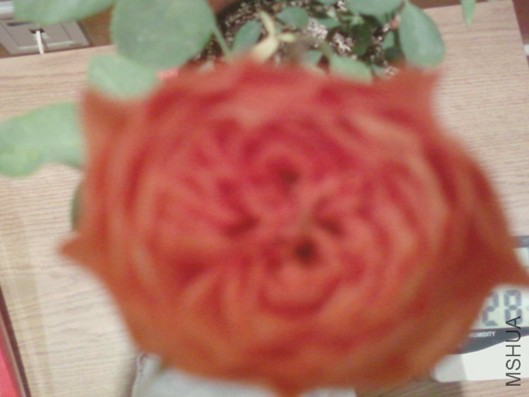 ��Ƭ-0578.jpg