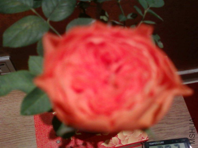 ��Ƭ-0579.jpg