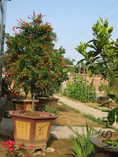 ��Ƭ 003_����1.jpg