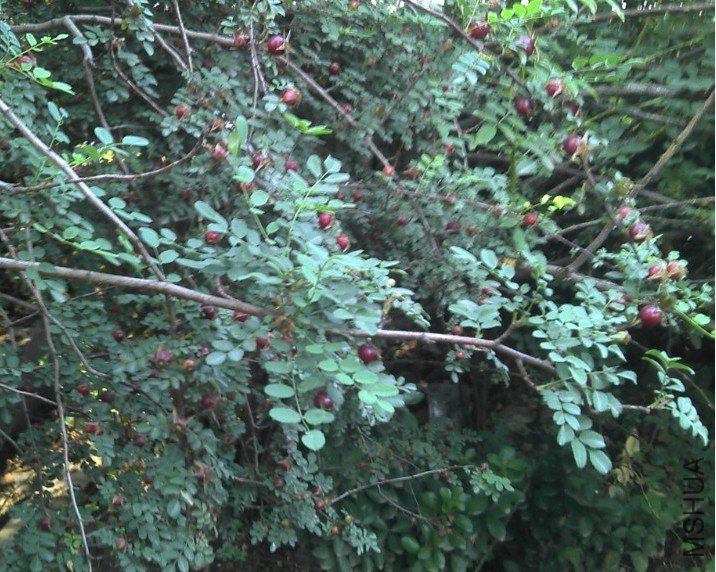 QQ��ͼ20120704092352.jpg