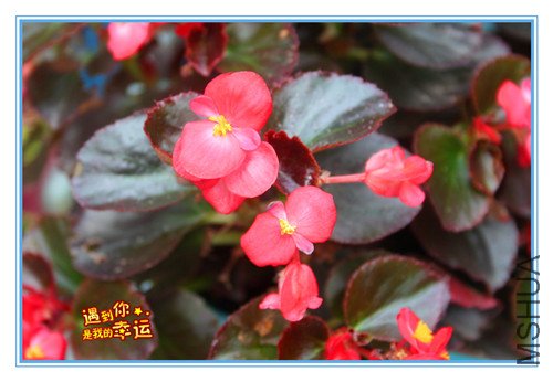 ��Ƭ 104_����.jpg