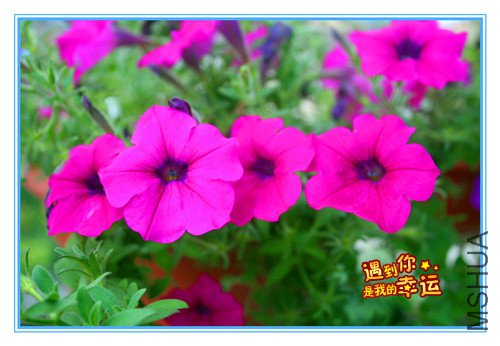 ��Ƭ 062_����.jpg