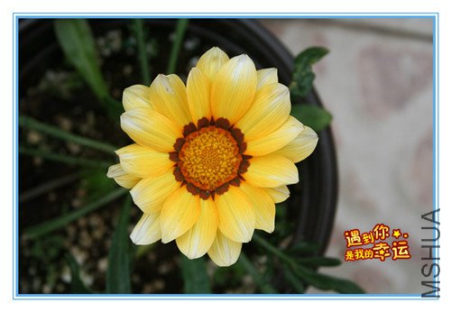 ��Ƭ 155_����ѫ_����.jpg