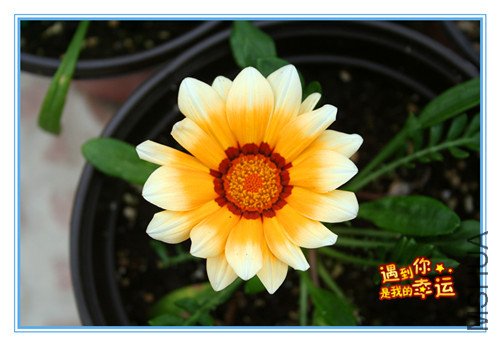 ��Ƭ 217_������_����.jpg