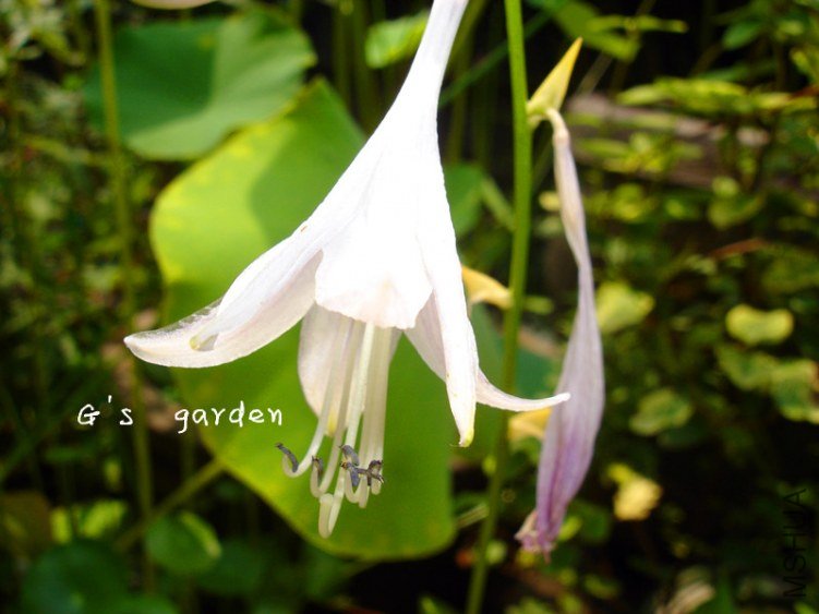 ������  LOGO.jpg