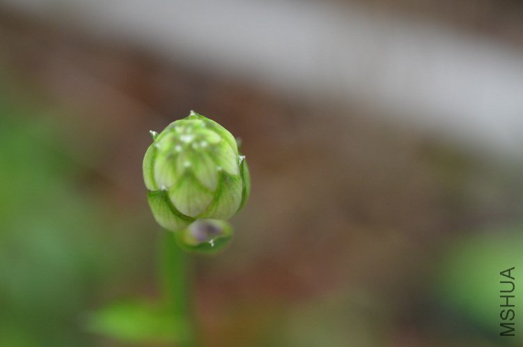 ����20120607 001.JPG