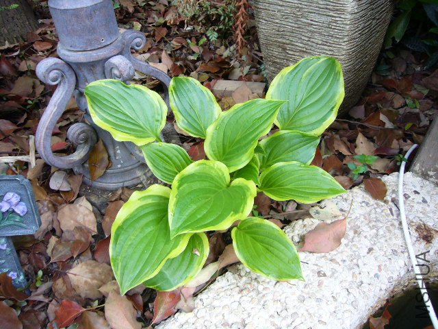 �������20120417 01.JPG