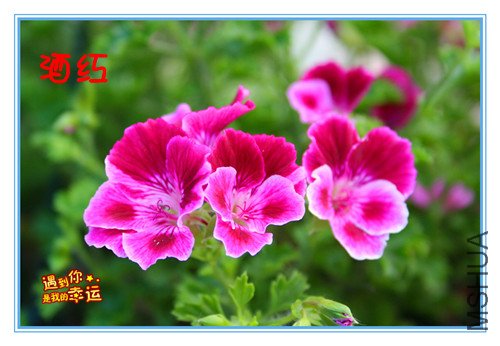 ��Ƭ 096_����ʹ6.jpg