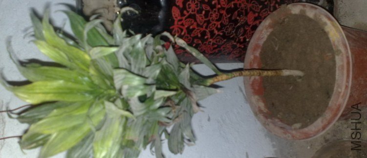 20120621391.jpg