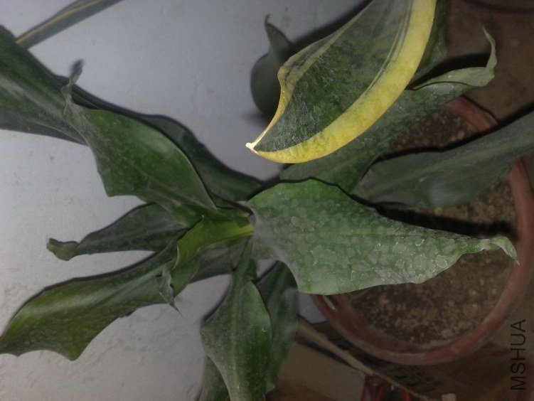 20120628417.jpg