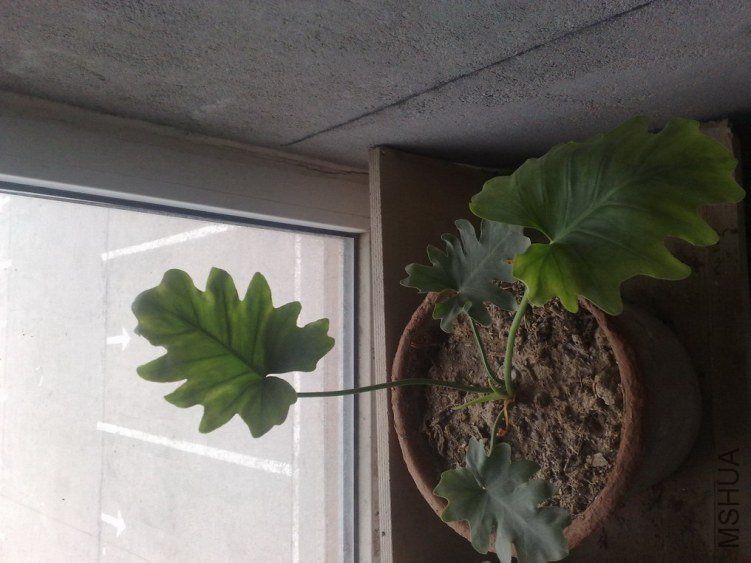 20120628418.jpg
