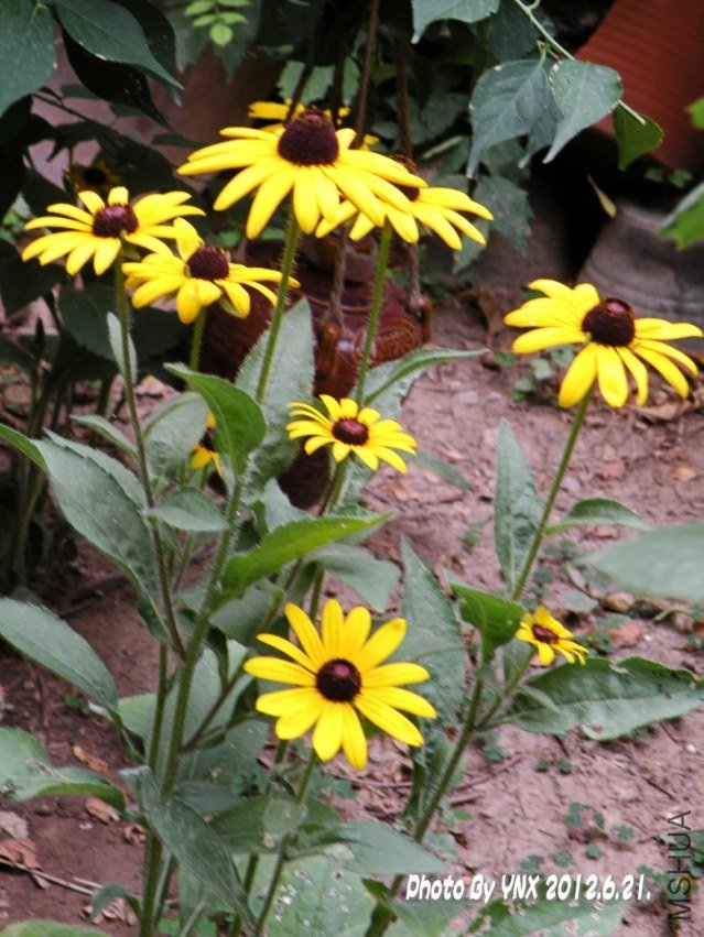 2012.6.21. 022_conew1.jpg