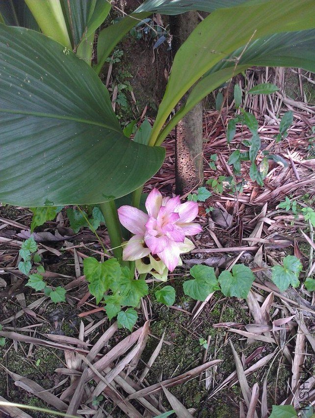 IMAG0461.jpg
