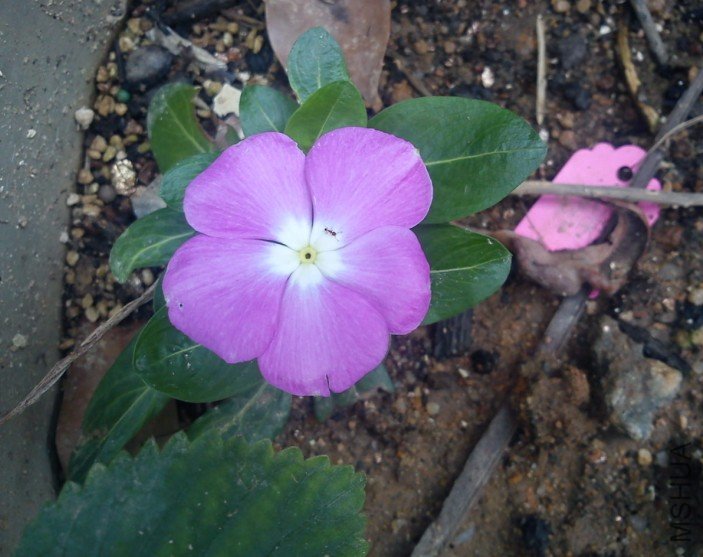 QQ��ͼ20120705125338.jpg