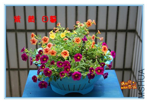 ��Ƭ 114_��ĺ.jpg