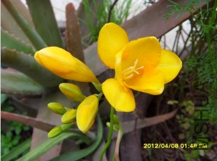 QQ��ͼ20120705134307.png