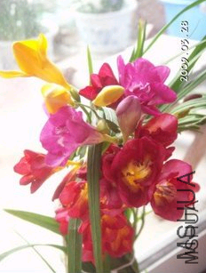 QQ��ͼ20120705134325.png